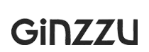 Ремонт компьютеров Ginzzu