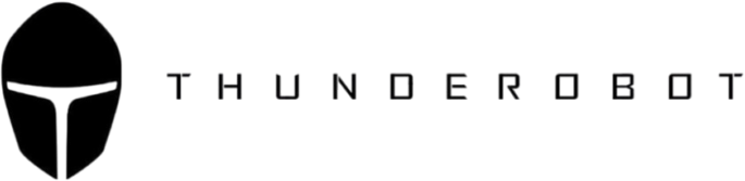 Ремонт компьютеров Thunderobot